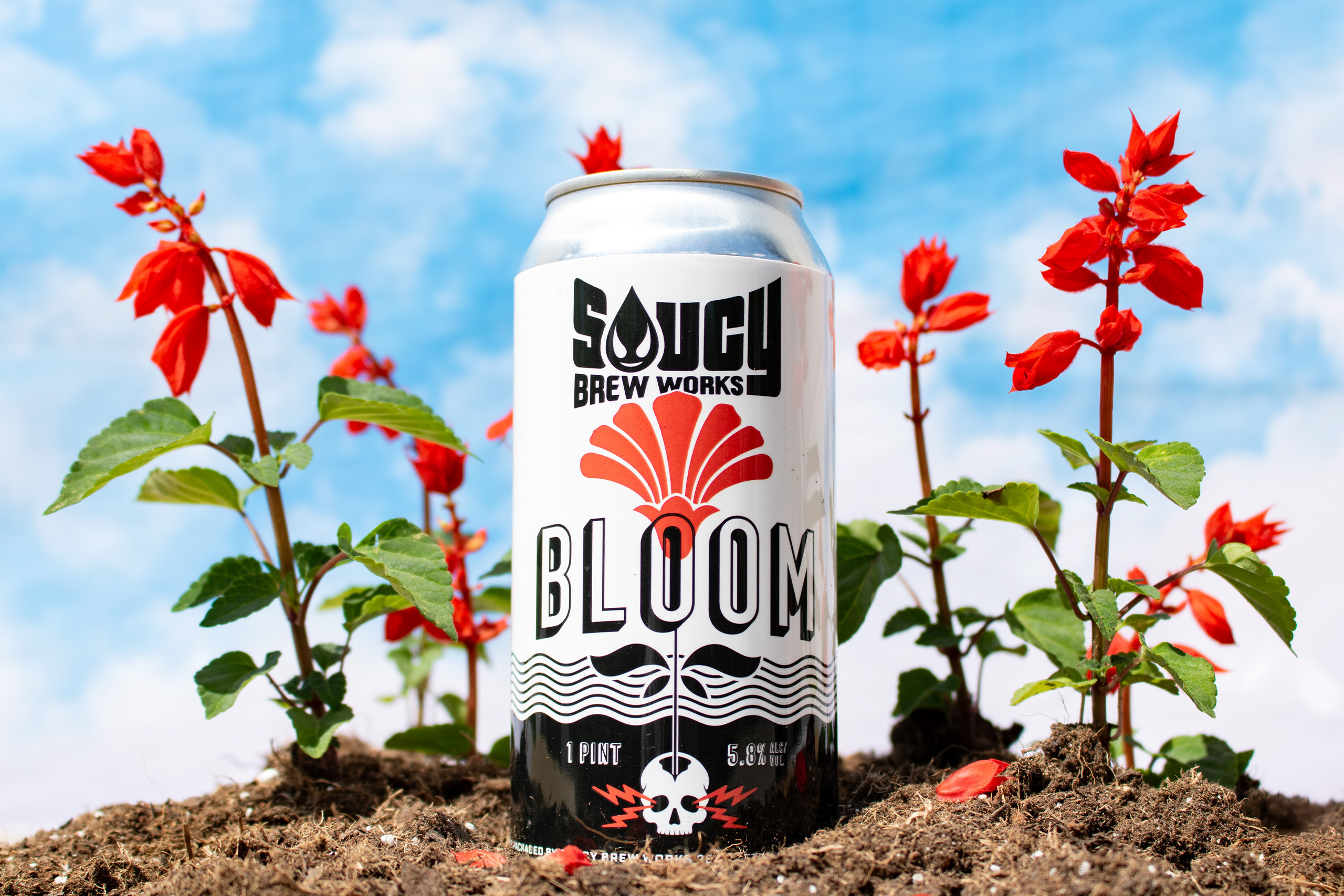 Bloom beer can buried in soil and surrounded by flowers with a cloudy sky in the background.